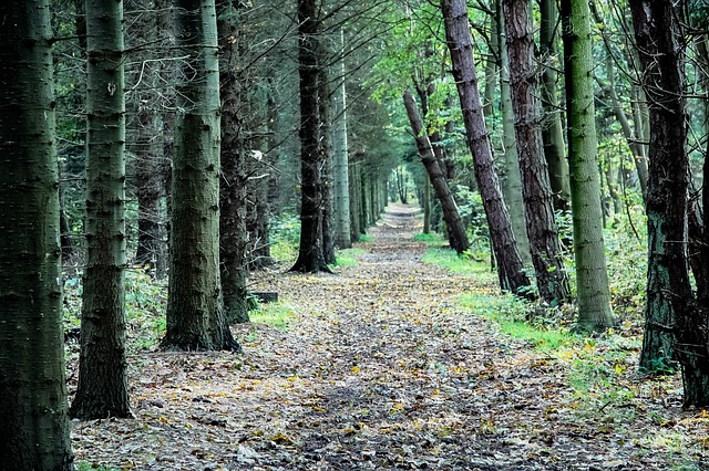 Have an Outdoor Adventure
